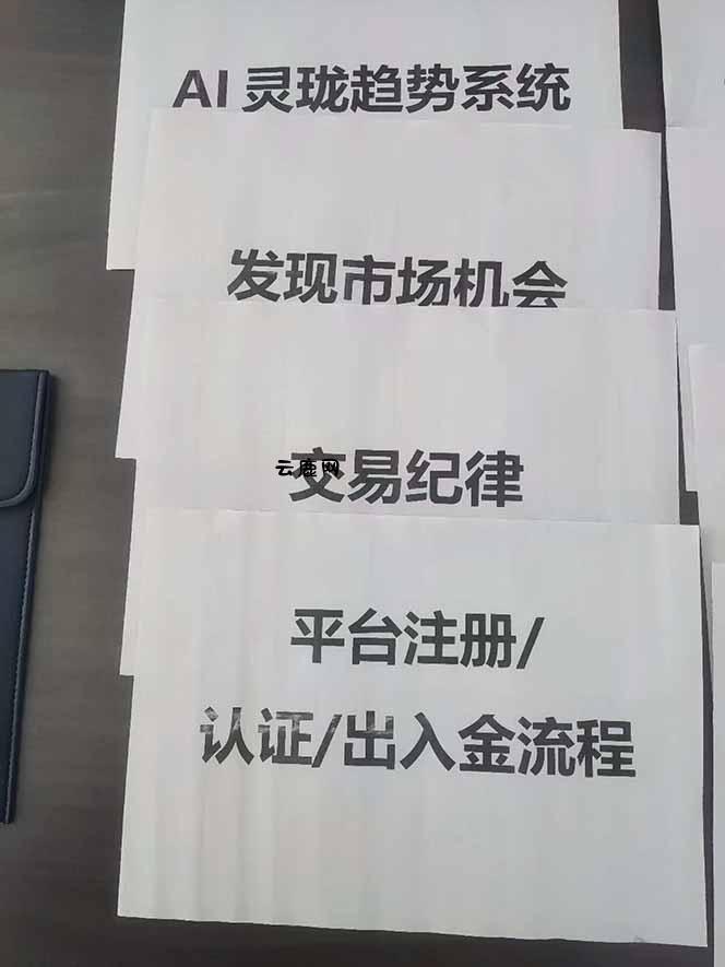 图片[3]|海外美金AI掘金项目，200U可入门槛，一天一单即可，每天1000-2000很轻松！|云鹿网