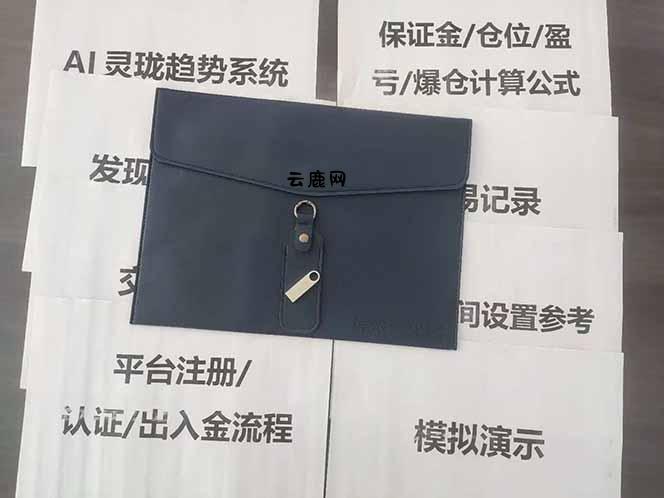 图片[5]|海外美金AI掘金项目，200U可入门槛，一天一单即可，每天1000-2000很轻松！|云鹿网