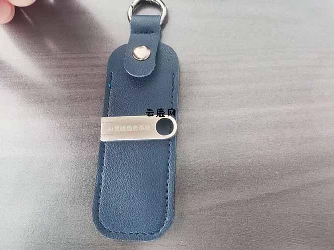 图片[2]|海外美金AI掘金项目，200U可入门槛，一天一单即可，每天1000-2000很轻松！|云鹿网