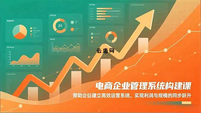 电商企业管理系统构建课：帮助企业建立高效运营系统，实现利润与规模的同步跃升|云鹿网