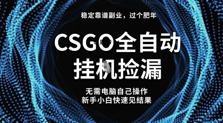 【稳定副业】全球最热门游戏CSGO全自动捡漏,最新玩法,新手小白日入5张+【揭秘】