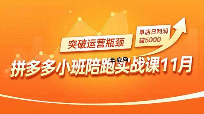 拼多多小班陪跑实战课11月，强付费矩阵、原价活动、暗券引流，突破运营瓶颈，单店日利润破5000|云鹿网