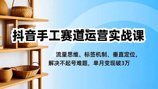抖音手工赛道运营实战课，流量思维、标签机制、垂直定位，解决不起号难题，单月变现破3万|云鹿网