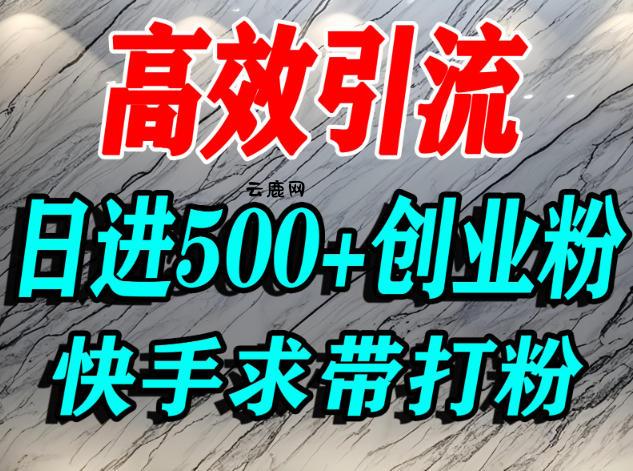 怎么打创业粉？快手求带视角精准引流创业粉，宝妈、学生群体日进500+精准流量|云鹿网