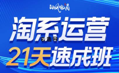 白凤电商·淘系运营21天速成班(更新11月)|云鹿网