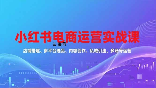 小红书电商运营实战课，店铺搭建、多平台选品、内容创作、私域引流、多账号运营等玩法|云鹿网