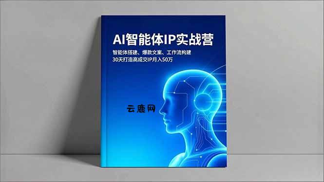 AI智能体IP实战营，智能体搭建、爆款文案、工作流构建，30天打造高成交IP月入50万|云鹿网
