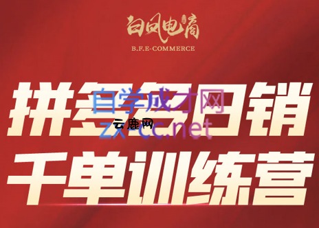白凤电商·拼多多日销千单训练营(更新11月)|云鹿网