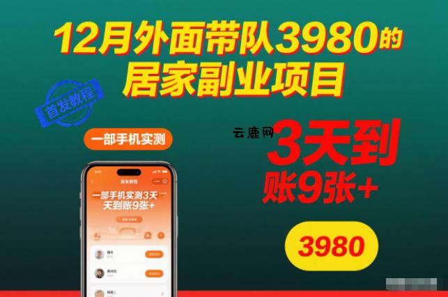 12月外面带队3980的居家副业项目，一部手机实测3天到账9张+，首发教程【揭秘】|云鹿网