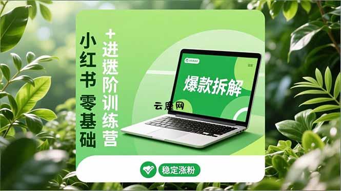 小红书零基础+高阶训练营：安全养号、爆款拆解、长效运营，实现稳定涨粉与变现|云鹿网