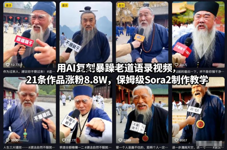 用AI复刻暴躁老道语录视频，21条作品涨粉8.8W，保姆级Sora2制作教学|云鹿网
