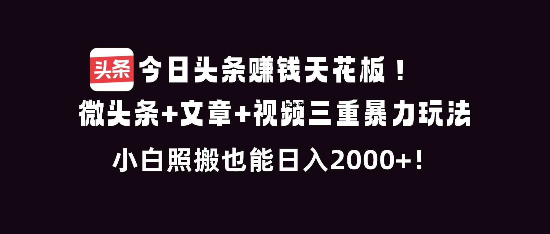 今日头条赚钱天花板！微头条+文章+视频三重暴利玩法，小白照搬也能日人2000+|云鹿网